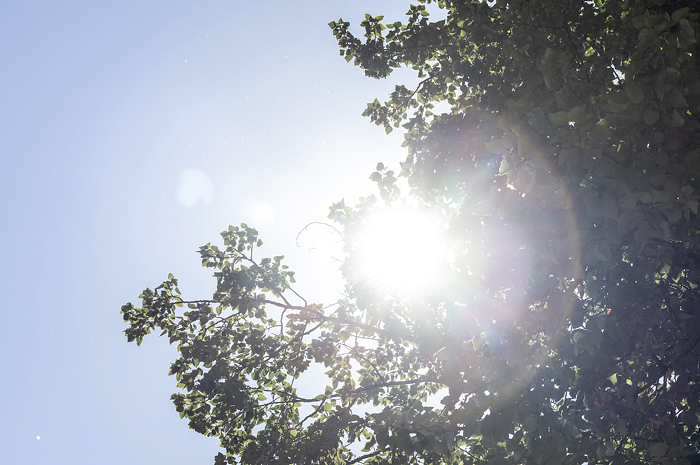 Good Morning, News: California Moves Forward With Redistricting Plan, Vancouver Woman Unearths a War Weapon and Portland, Prepare For a Nasty Heat Wave